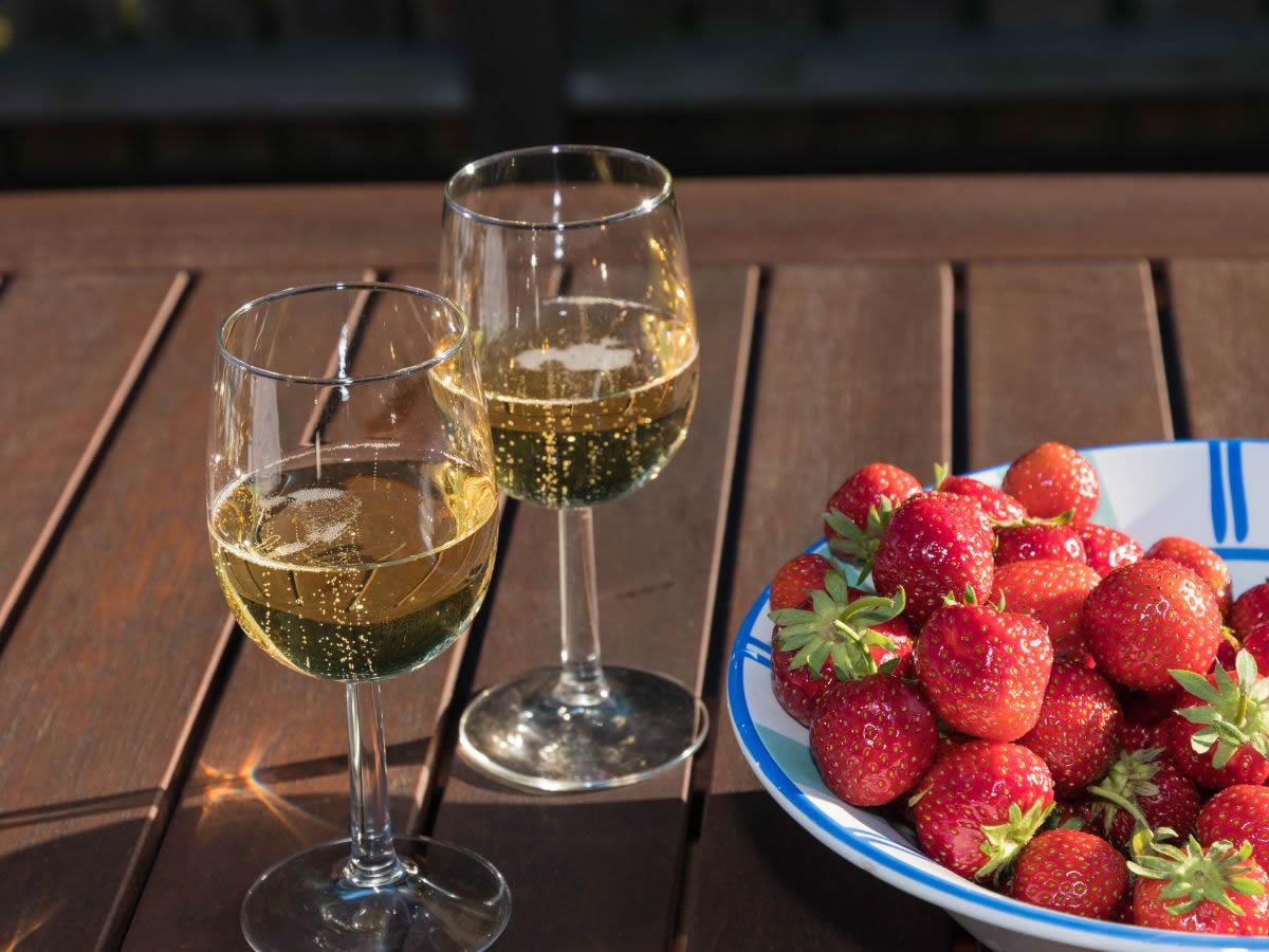Venice International Wine Trophy Bubbles 2024