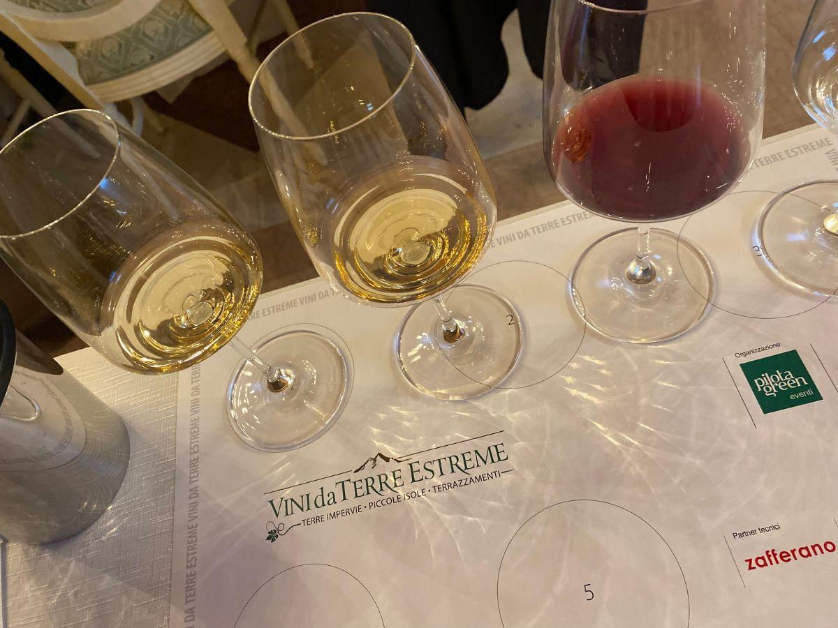 Vini da Terre Estreme Roma, appuntamento il 25 e 26 febbraio