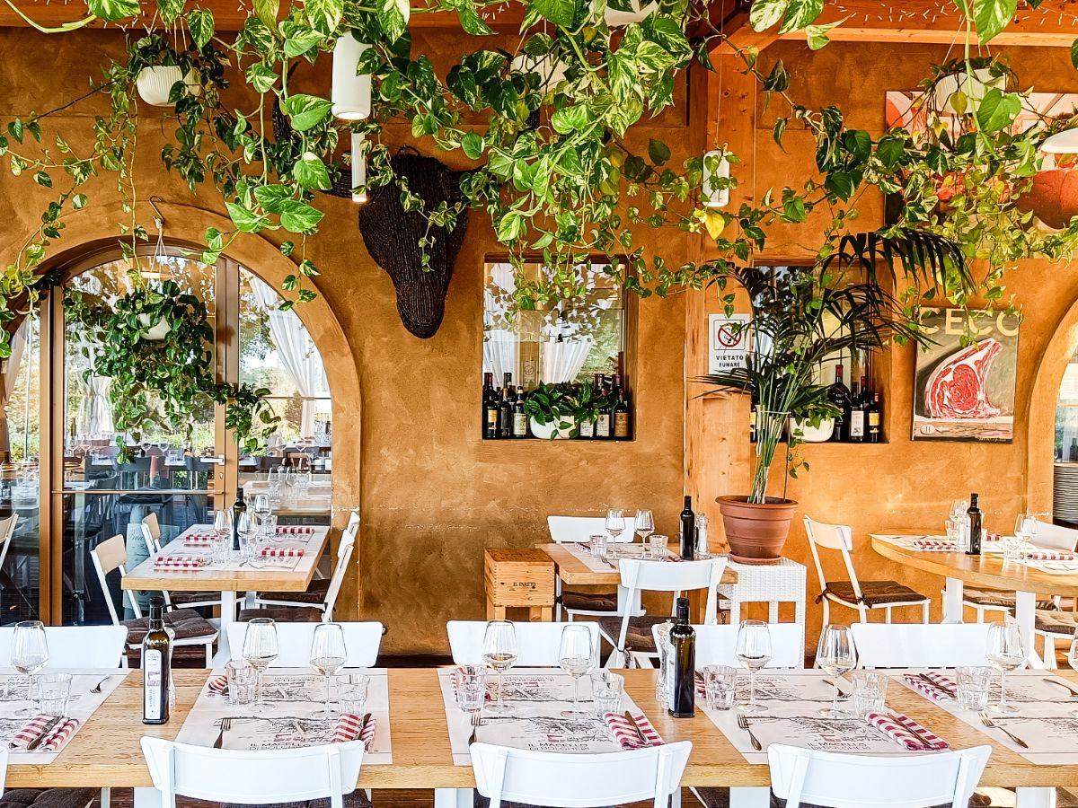 Il Macello di Bolgheri: come si mangia e quanto si spende