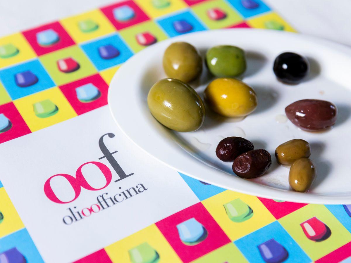 Olio Officina Festival 2024: i suoni degli ulivi a Milano