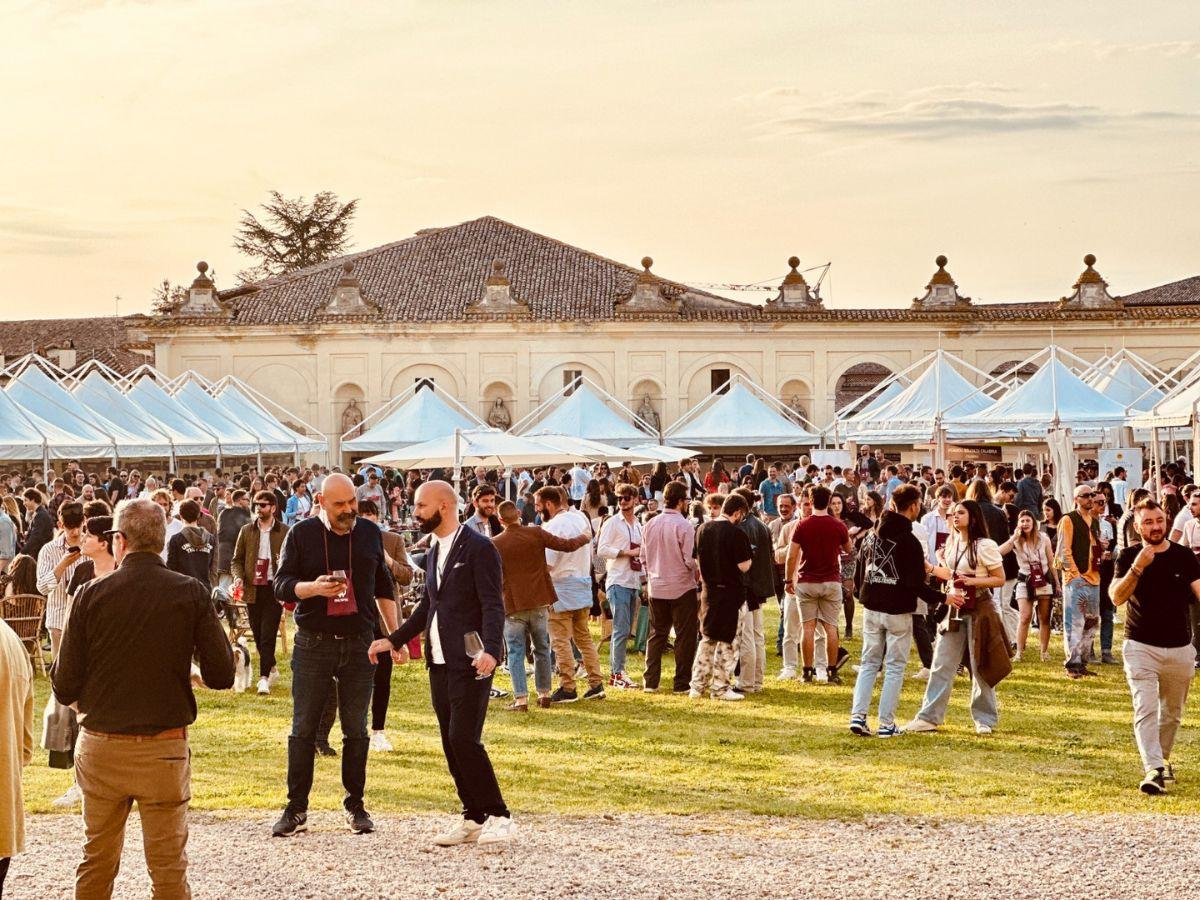 Only Wine 2024: le novità del'evento di Città di Castello