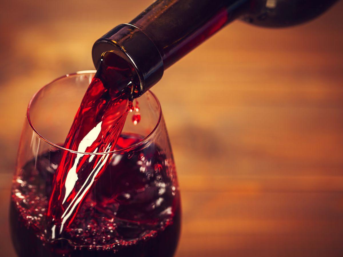 Chianti e Morellino di Scansano: i 18 migliori assaggi