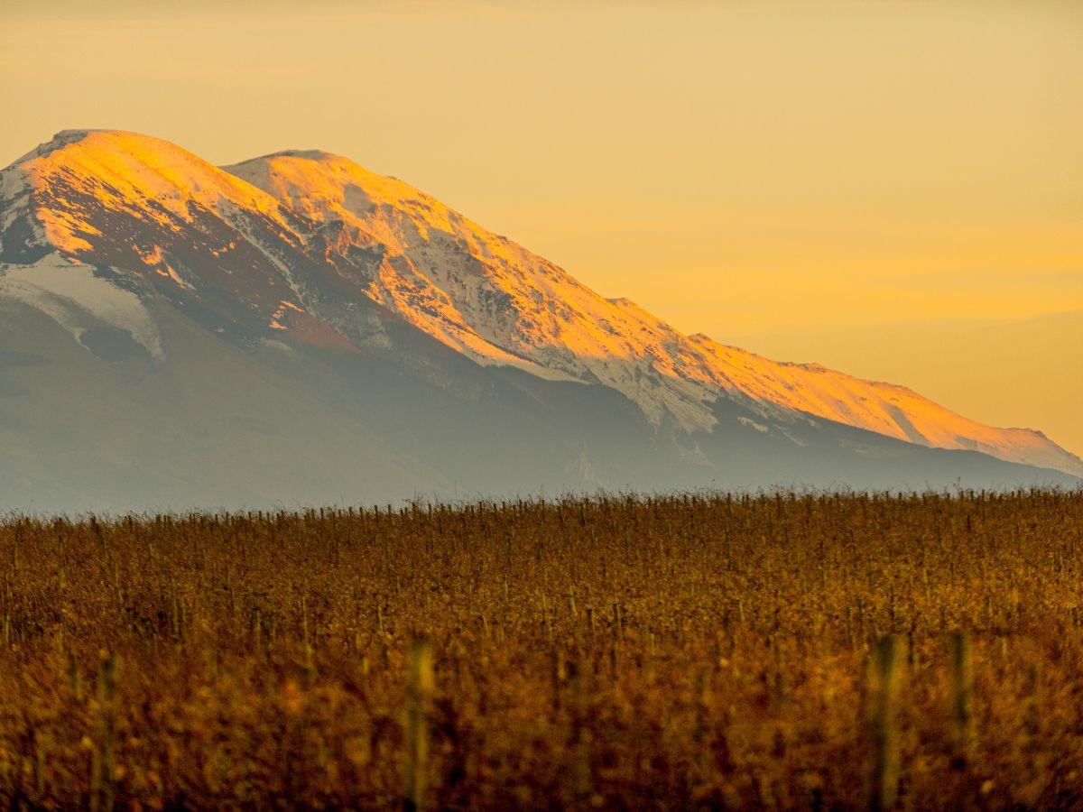Colline Teramane e Montepulciano DOC: i 15 migliori assaggi