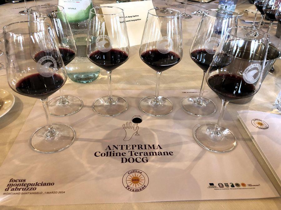 Bicchieri in degustazione all'Anteprima Colline Teramane 2024