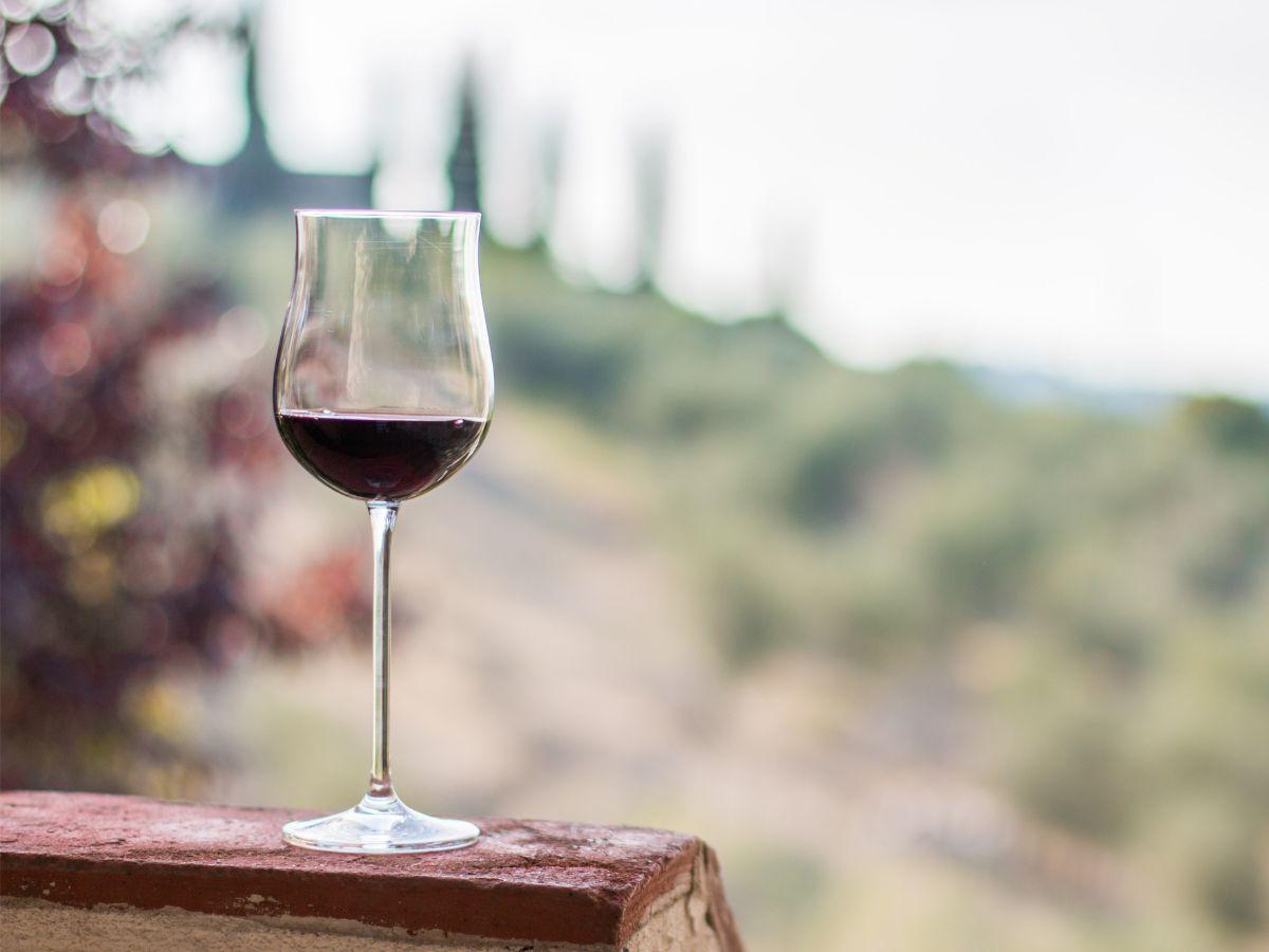 Teranum 2024: successo per l'evento sui vini del Carso