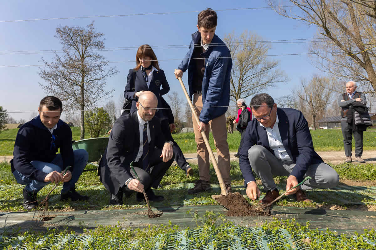 Come adottare una vigna: arriva il progetto di AIS Veneto