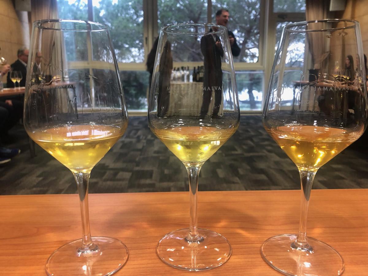 Festival della Malvasia, gusto raffinato del Mediterraneo