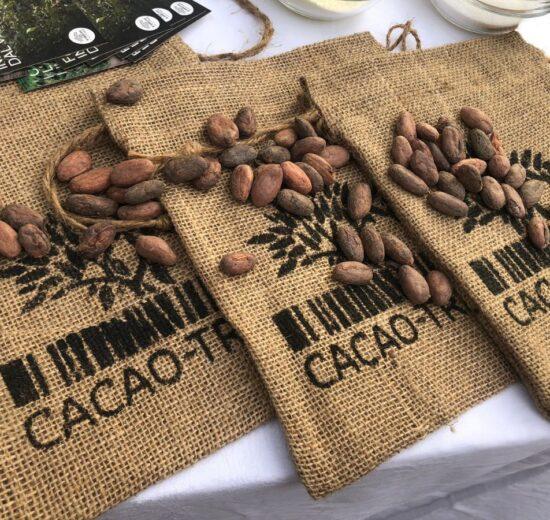 Cacao-Trace, Puratos tutela il cioccolato etico e solidale