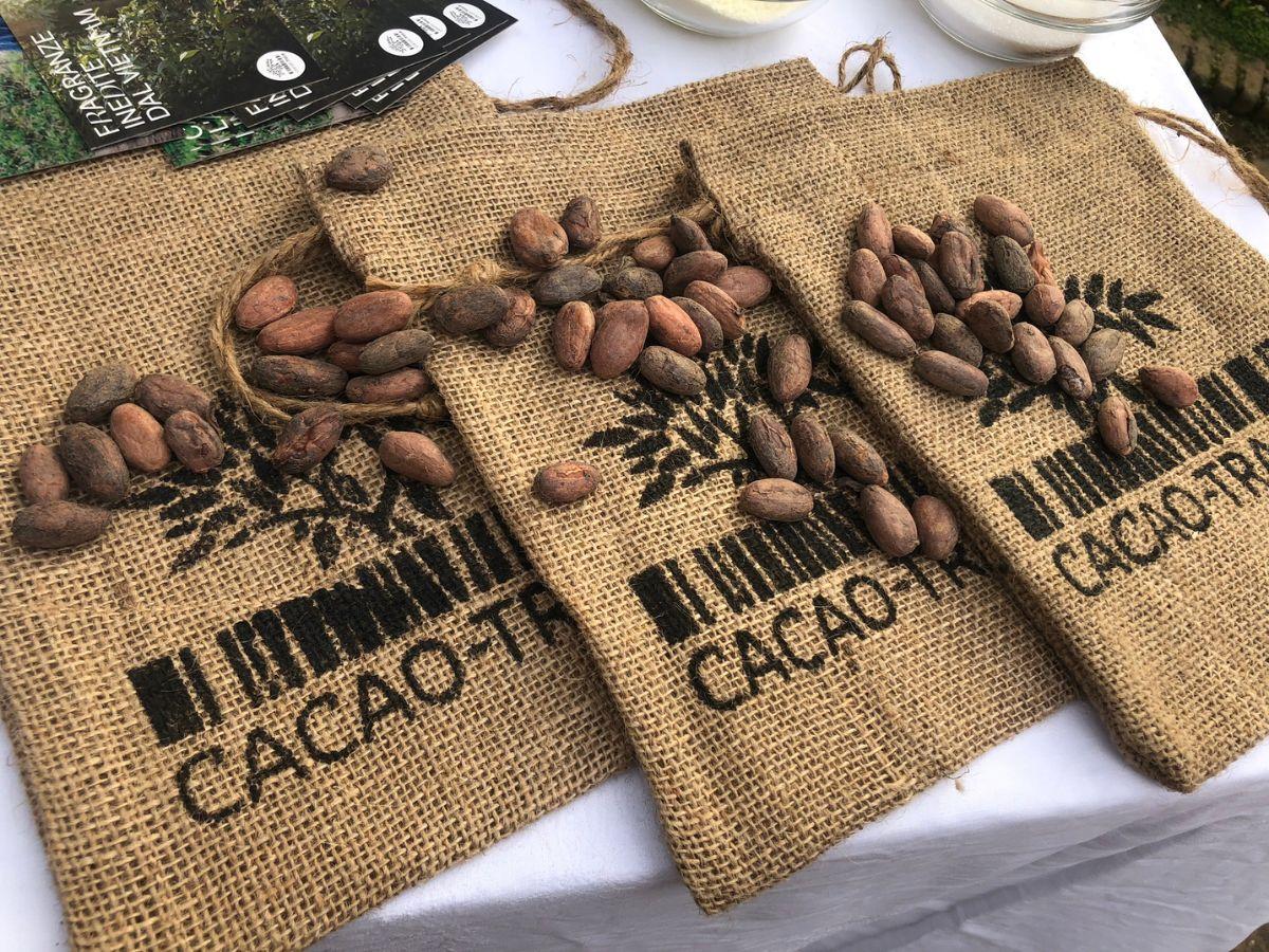 Cacao-Trace, Puratos tutela il cioccolato etico e solidale