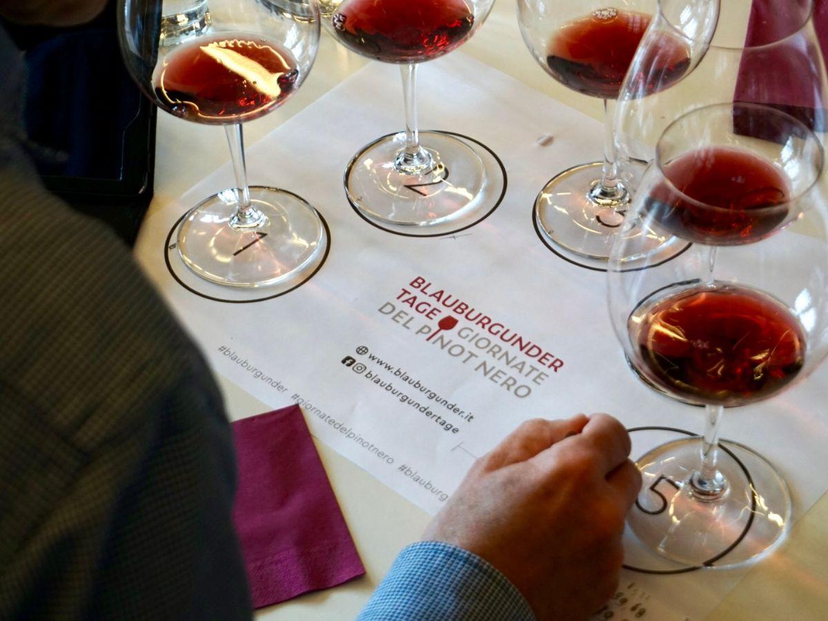 Degustazione dei migliori Pinot Nero a Egna e Montagna