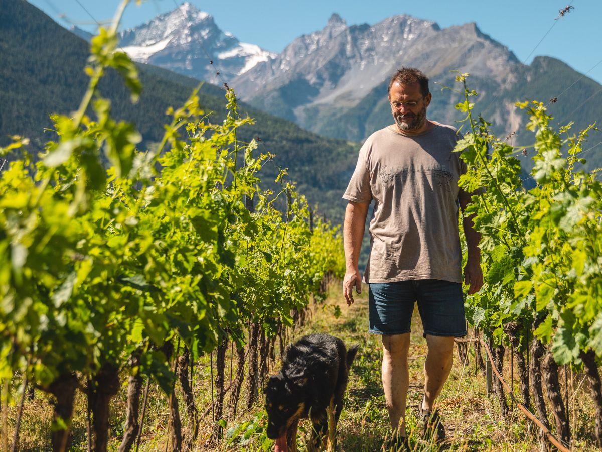 Stefano Celi nei vigneti della cantina La Source