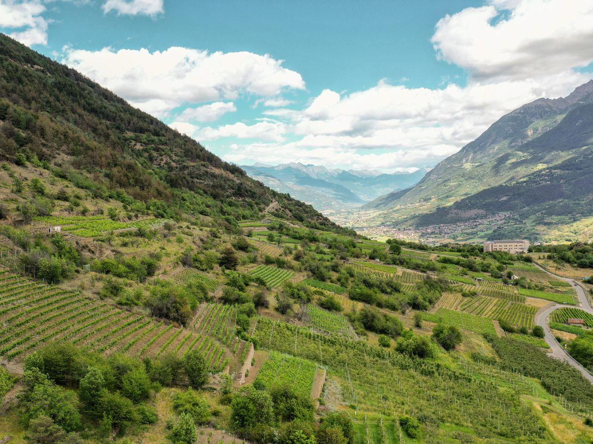 veduta dei vigneti eroici della cantina La Source di Stefano Celi