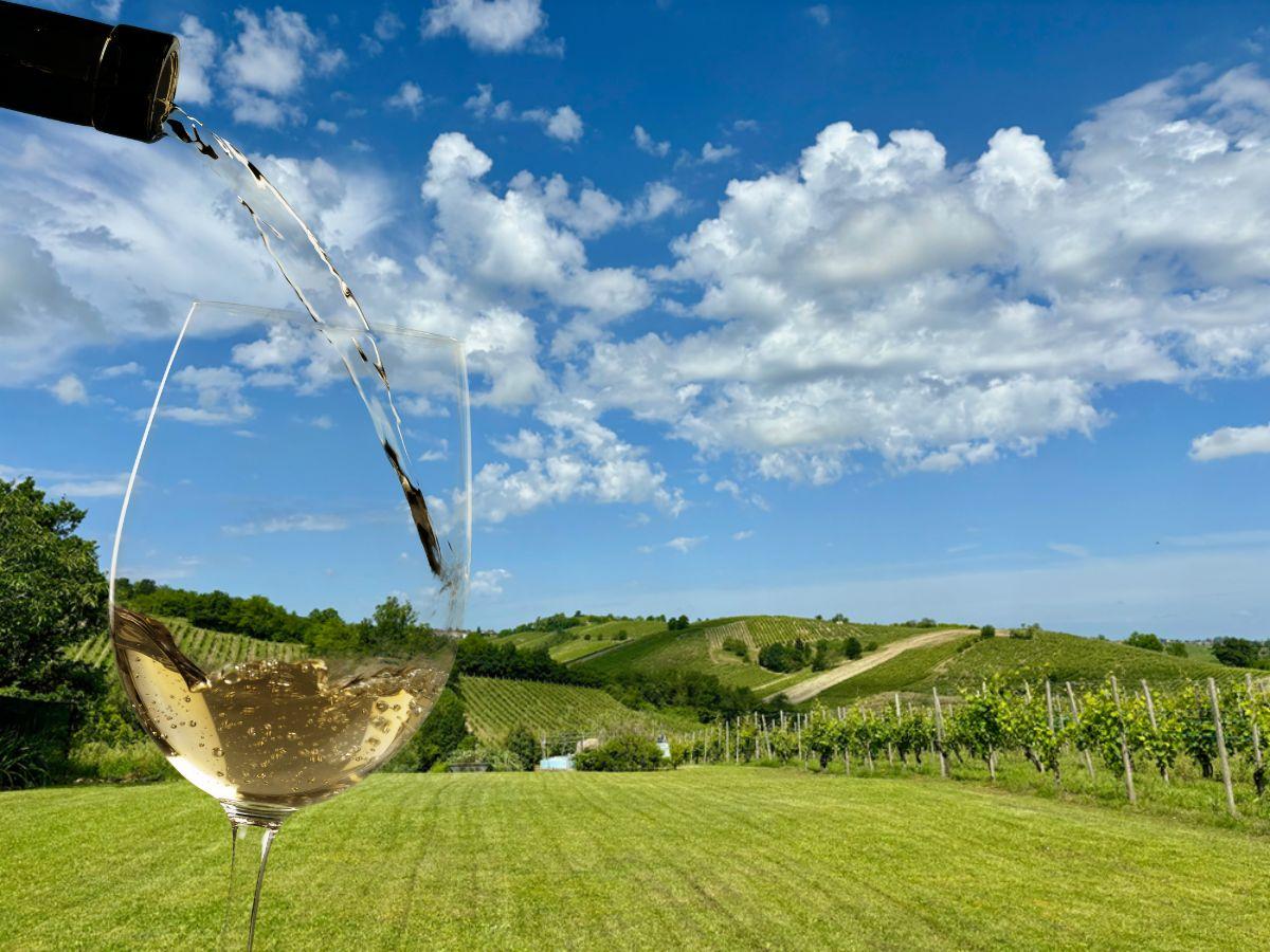 Aromatica nei Colli Piacentini: il 15 giugno in 11 cantine