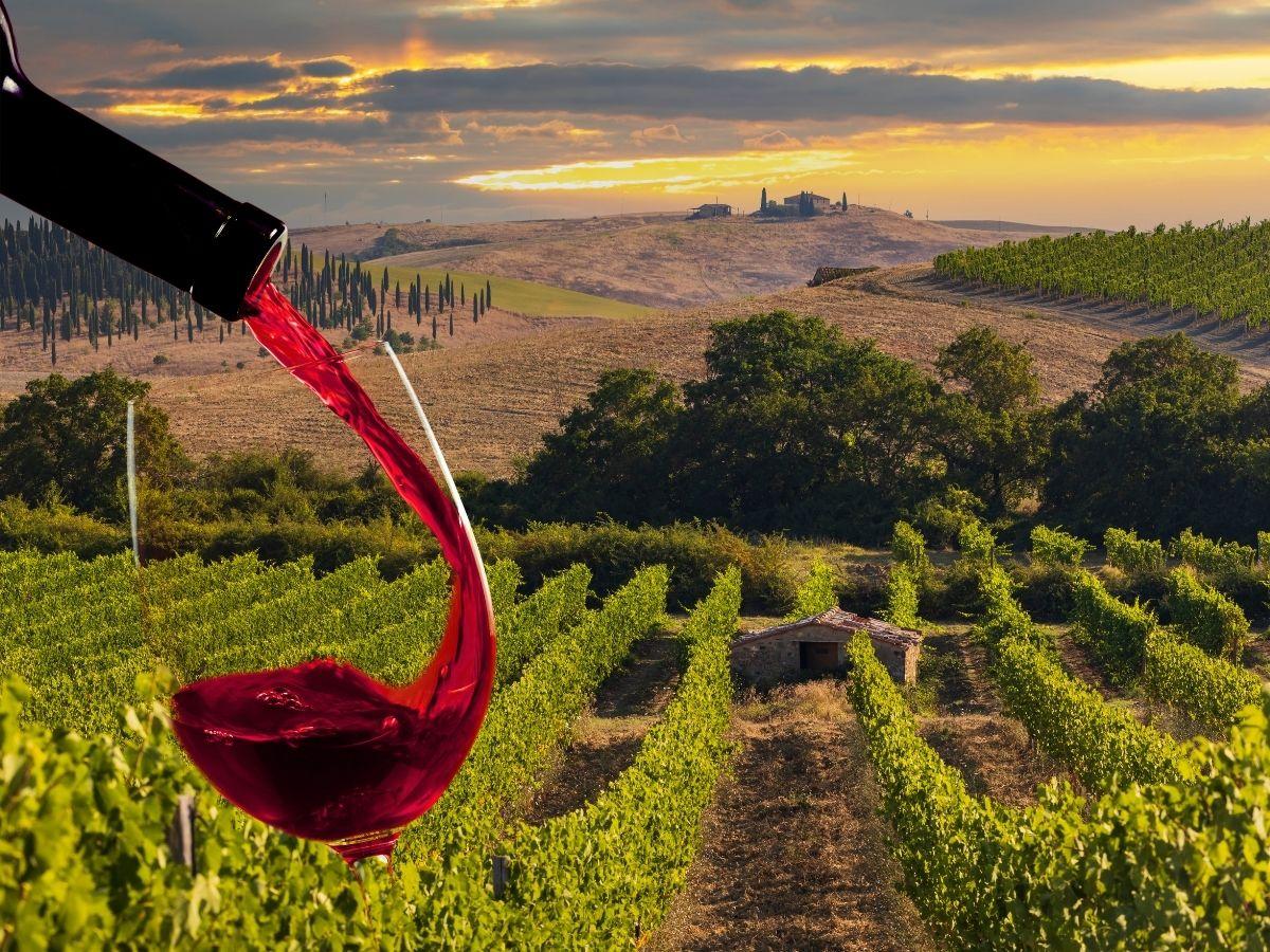 Red Montalcino 2024: i nostri migliori assaggi dell'edizione