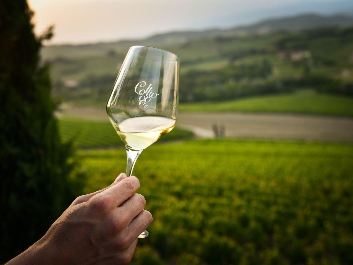 Sessant'anni del Consorzio Collio, ma c'è tanto da lavorare
