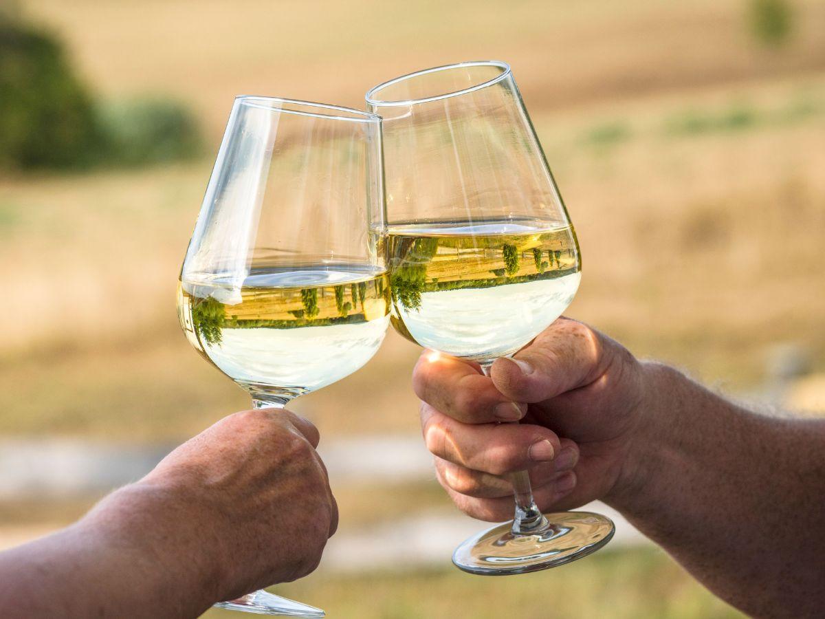 3 vini nuovi da bere nell’estate 2024: tutti particolarissimi