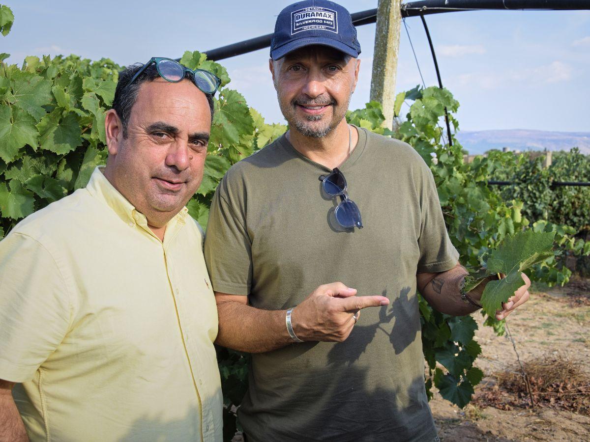Bastianich farà vino in Sicilia: con Cutrera nasce "Akrille"