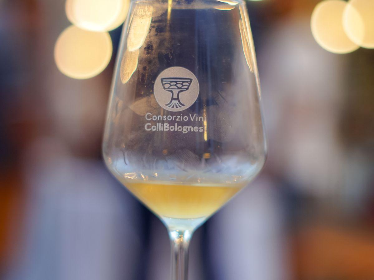 Vini Colli Bolognesi: Mostra assaggio 2024 e Festival del Tortellino