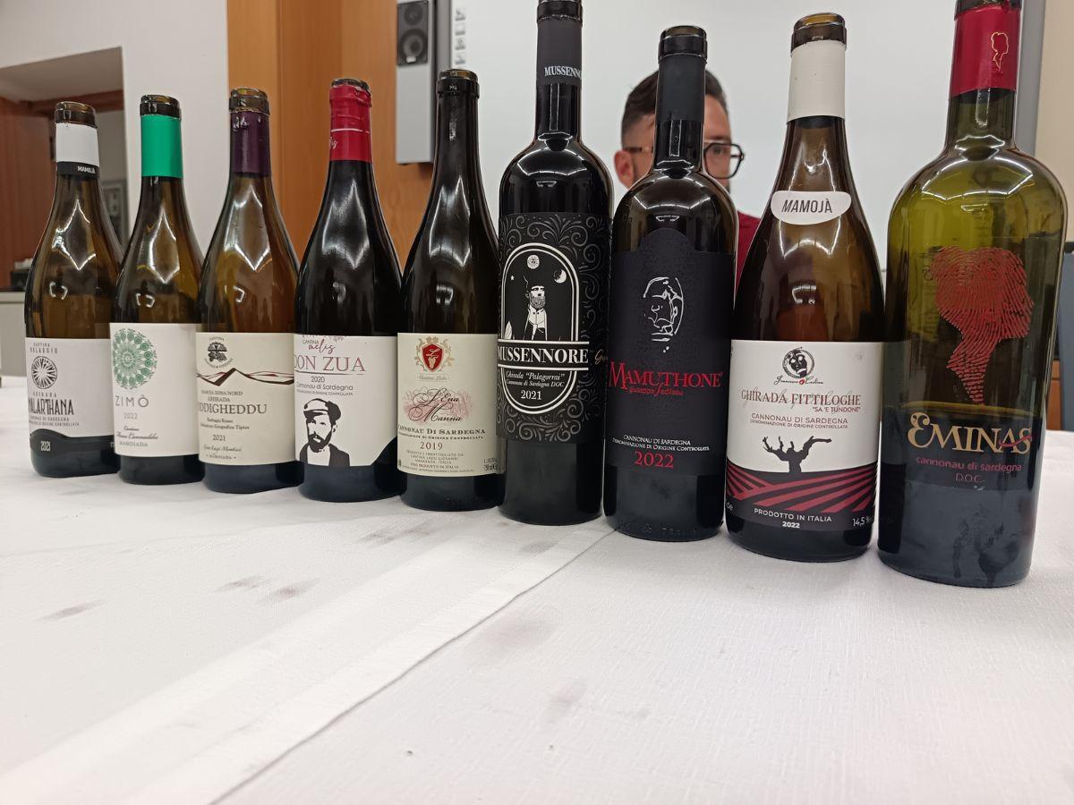 Bottiglie di Cannonau di Mamoiada
