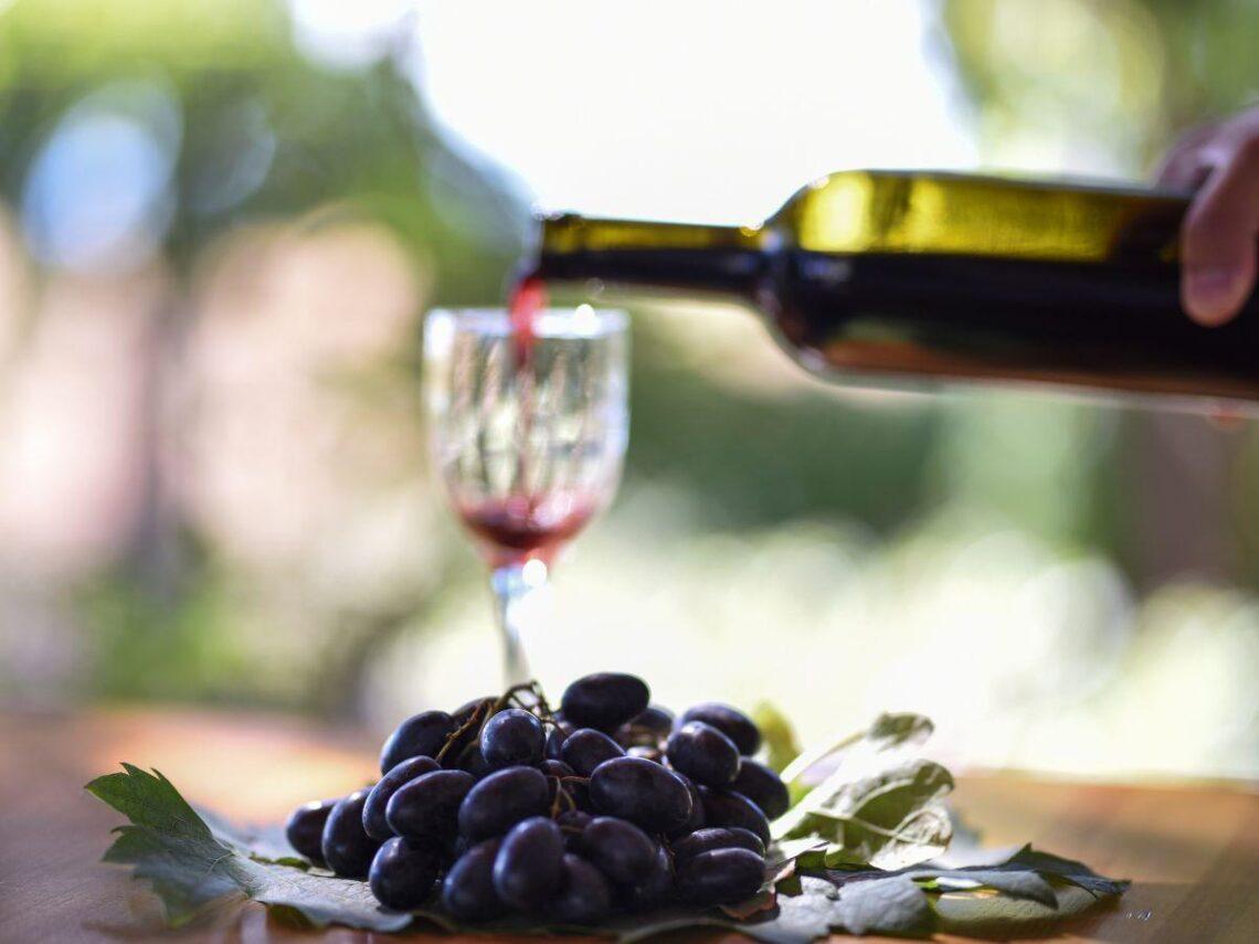 Rassegna nazionale Vini PIWI 2024: premiazioni il 5 dicembre