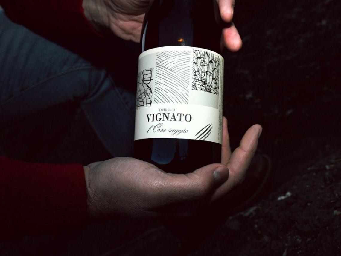 L'Orso gentile, la nuova linea della Cantina Davide Vignato