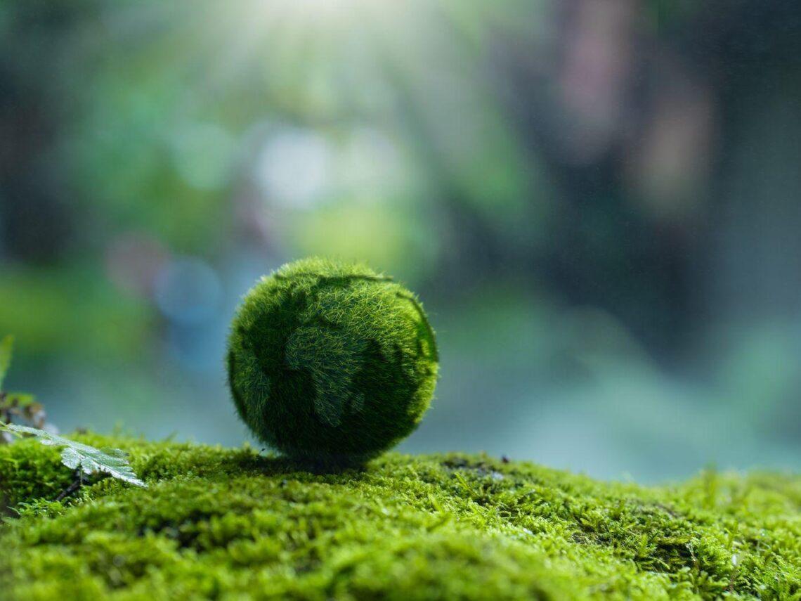 Green marketing e comunicazione di sostenibilità: dettagli del corso