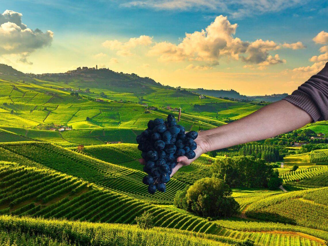 Nebbiolo Prima Academy, vi raccontiamo com’è andata