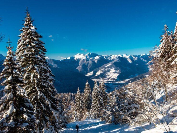 Sapori di Carnia in inverno: le specialità della tradizione