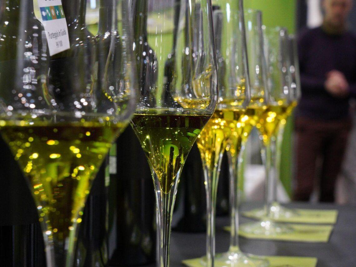 Concorso Olio Capitale 2025: premi divisi tra Italia e Spagna