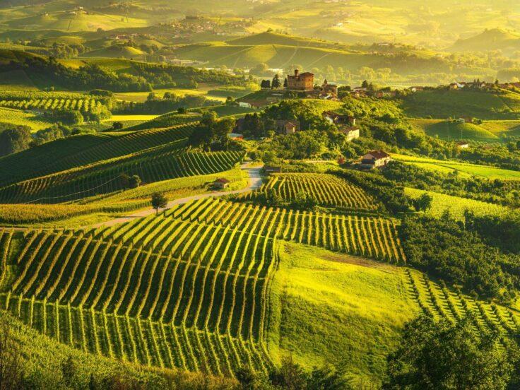 Osservatorio sull'Enoturismo: dati rilevati da MTV e CESEO
