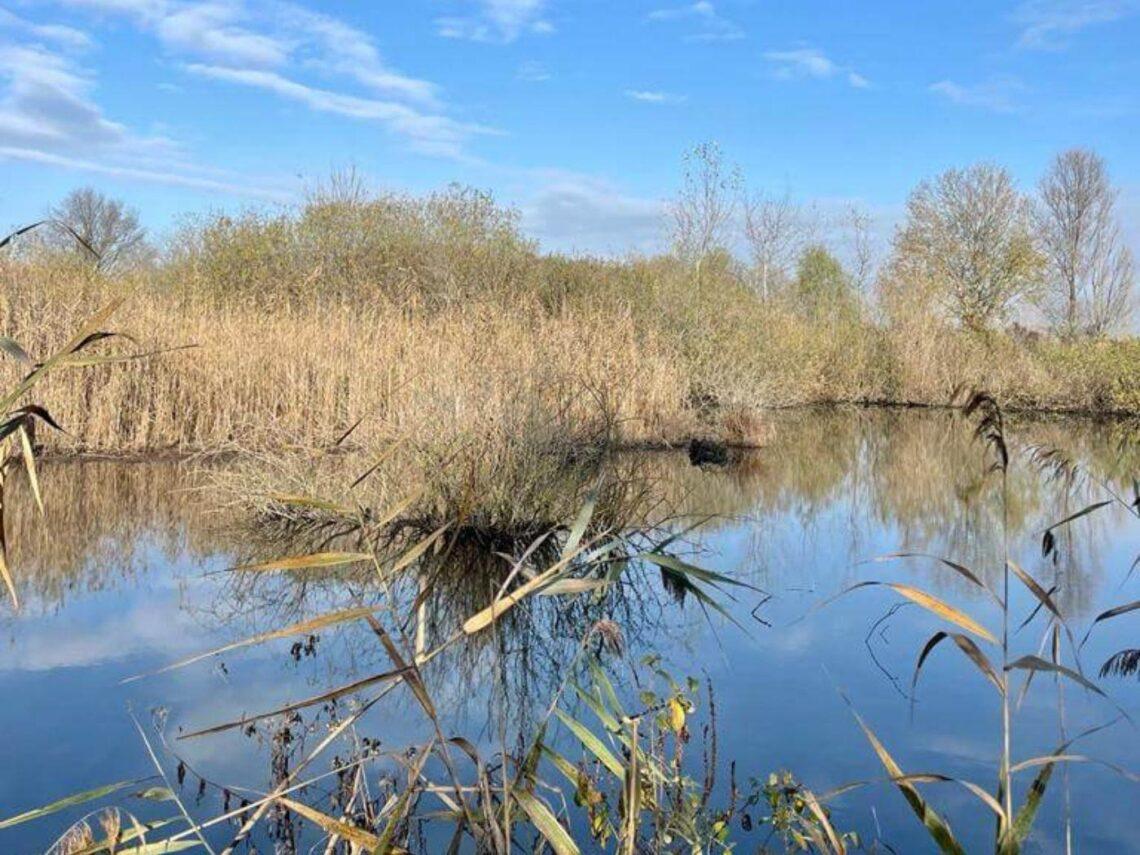 Primavera delle Oasi: il WWF apre 871 aree protette