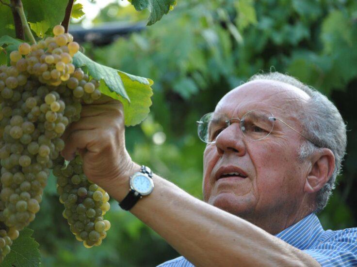 Casa Cecchin: la cantina che ha portato il Durello al successo