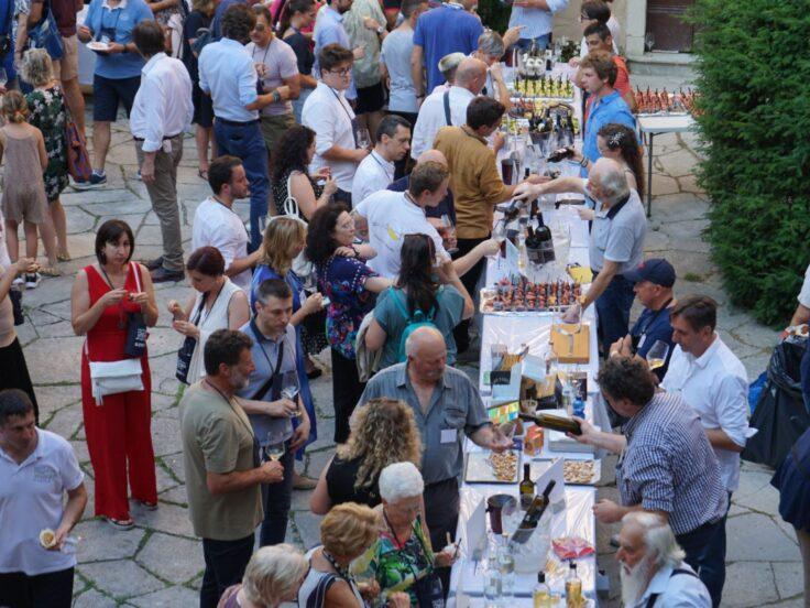 Mare e Vitovska in Morje 2025: il programma completo
