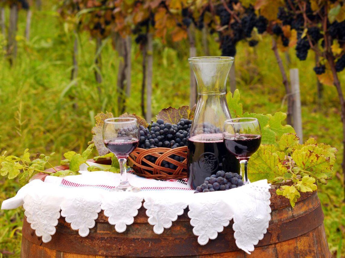 Mercato dei Vini FIVI 2025: annunciate le date e le novità