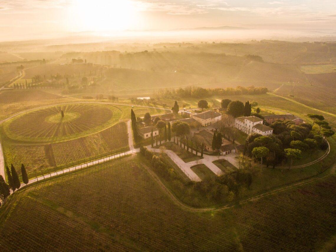 La Grande Esperienza di Avignonesi: visita con degustazione