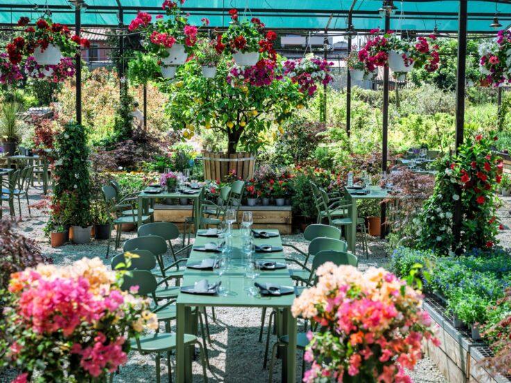 La sala vivaio del Ristorante Belloverde a Roma