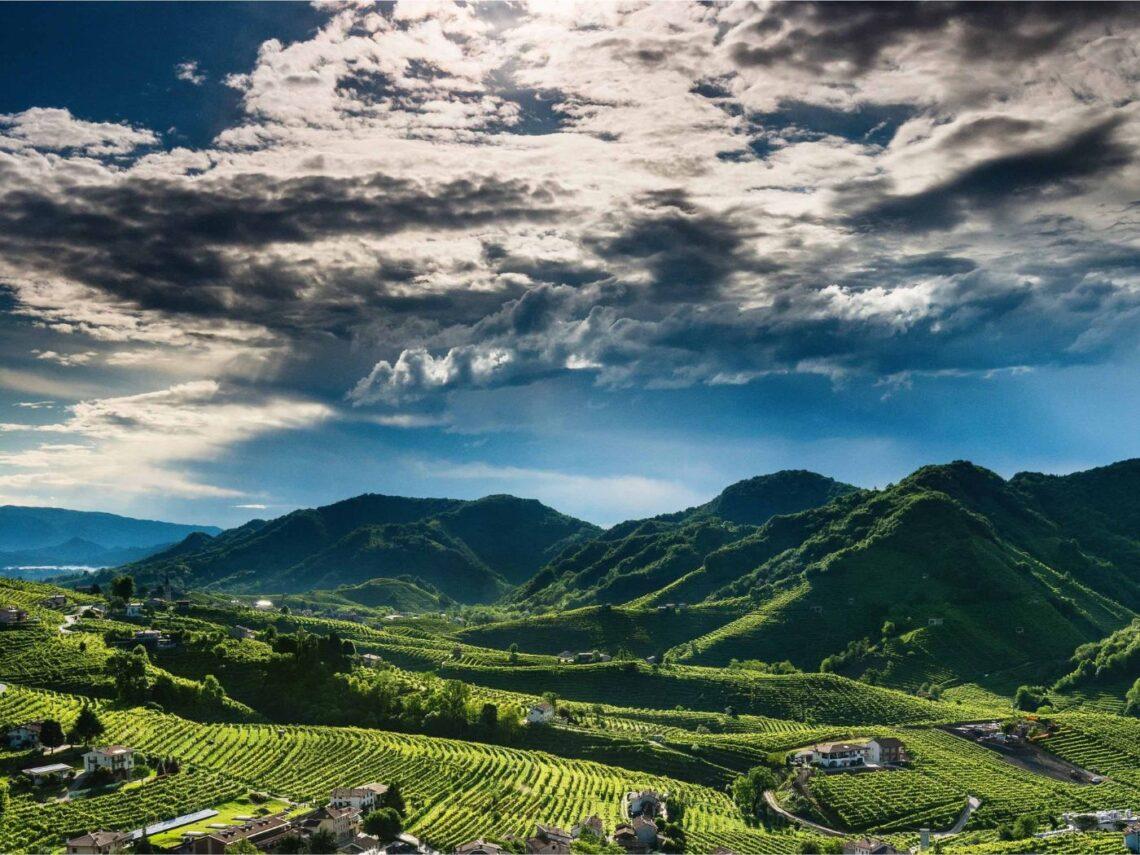 Rive del Valdobbiadene DOCG: 6 etichette tutte da scoprire