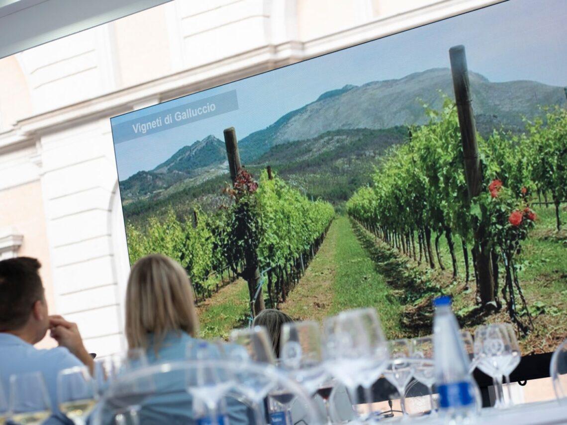 Terra di Lavoro Wines 2025: Reggia di Caserta dall'11 ottobre
