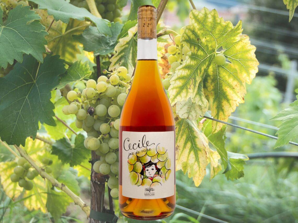 Cecile 2018 di Cantina Marilina: il miglior orange wine d’Italia