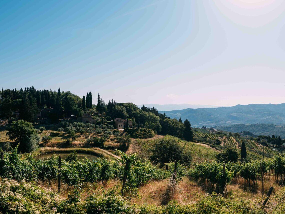 Vecchie Terre di Montefili, la collina che racconta il Chianti