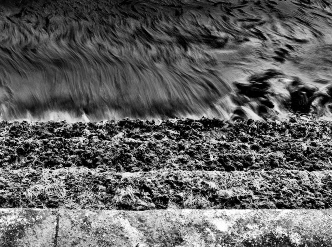 Quando l’acqua diventa arte: la mostra di Michele Levis a Bologna