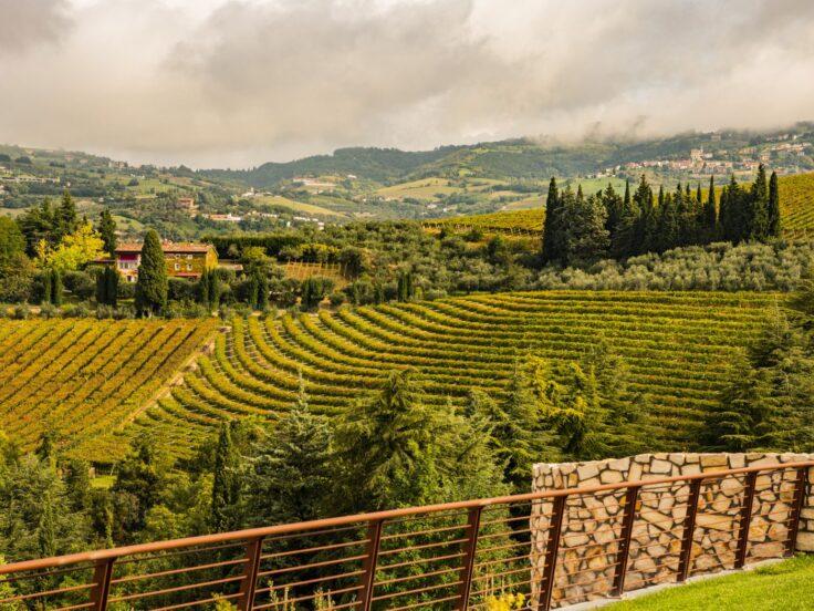Costa Arènte: verticale di Amarone 2016–2020 in Valpantena