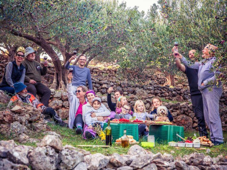 Oleoturismo in Italia: +37,1% tra frantoi e cene in uliveto