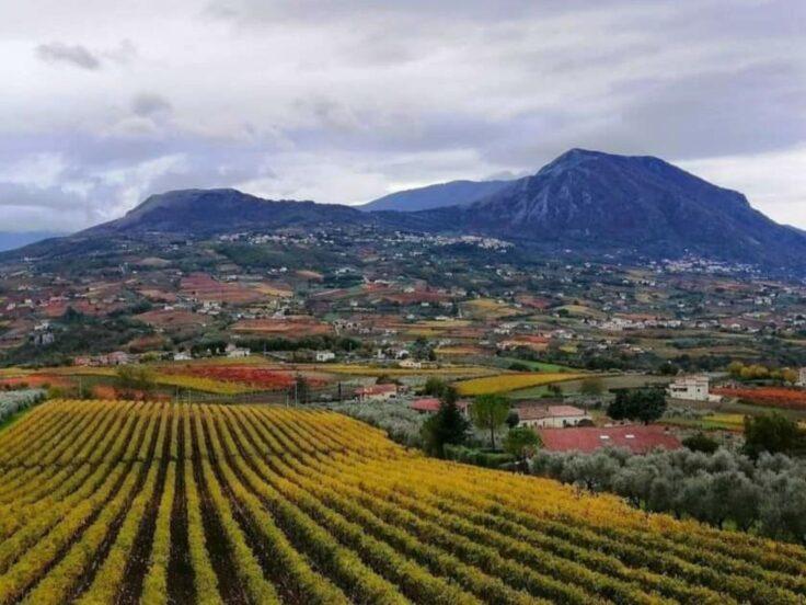I migliori vini sanniti: 34 cantine premiate a Sannio Top Wines 2026