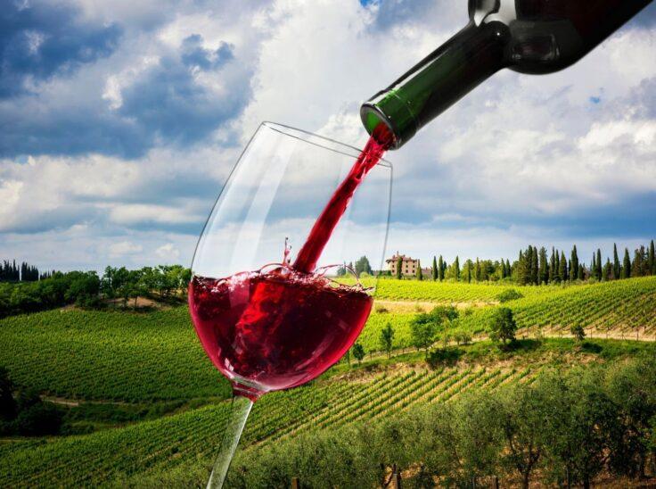 Chianti Classico 2024: analisi dell’annata e dibattito sull’assemblaggio