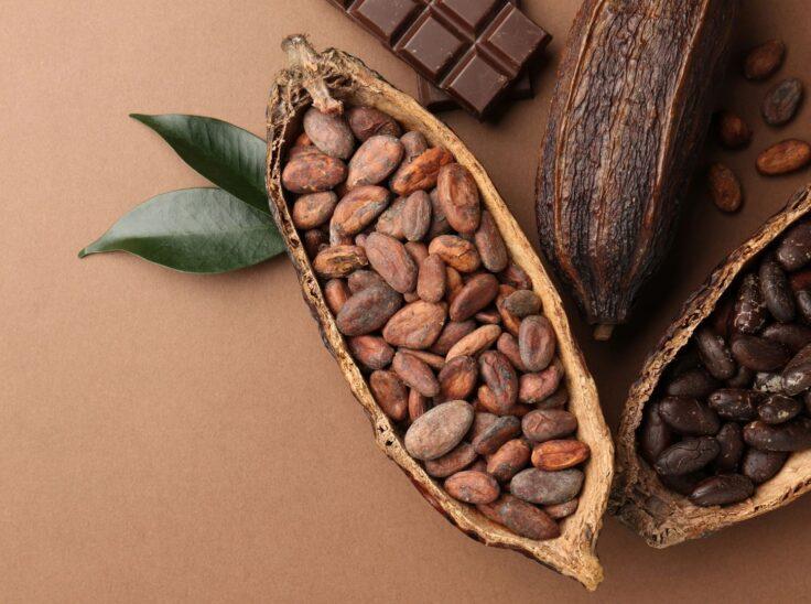 I Cioccolati del Mediterraneo 2026 a Maglie