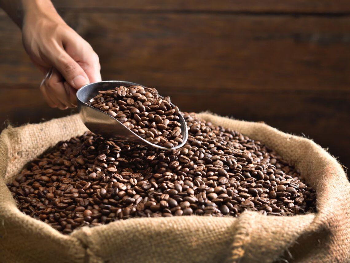 Cos’è lo specialty coffee e come sta evolvendo in Italia