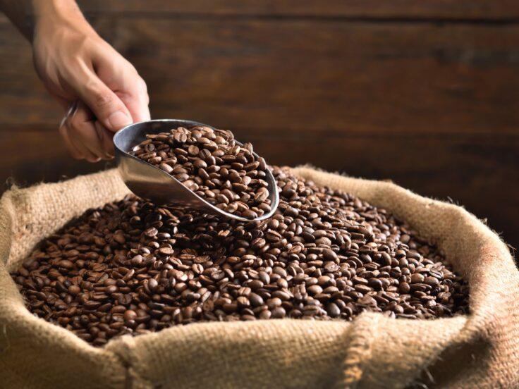 Cos’è lo specialty coffee e come sta evolvendo in Italia