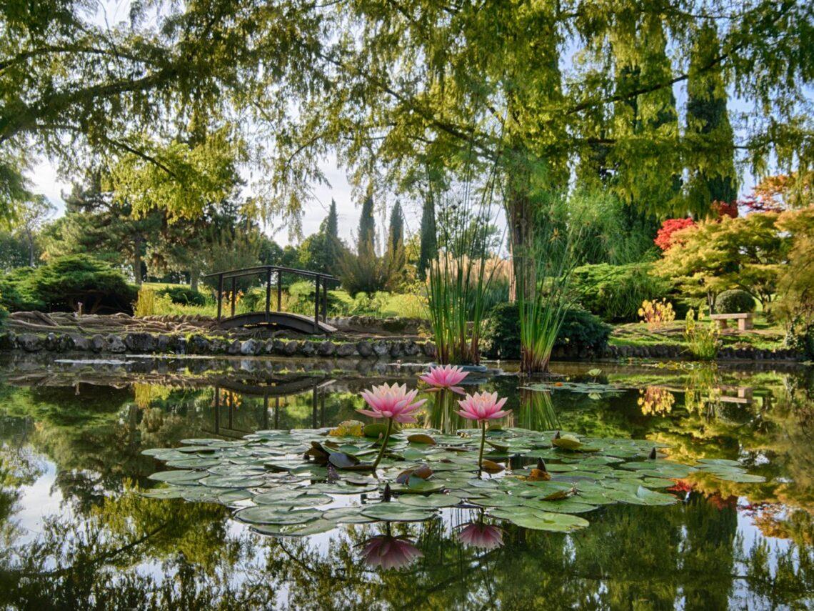 Parco Giardino Sigurtà: le novità della riapertura 2026