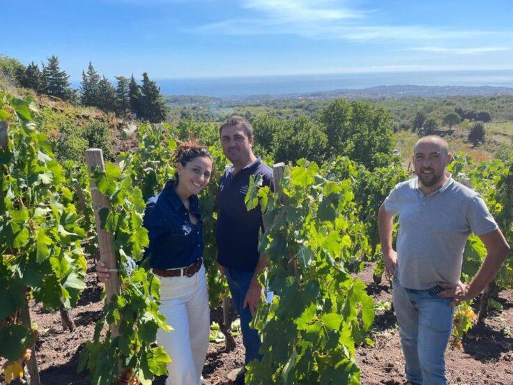 Serafica Etna: viticoltura eroica e vitigni reliquia a Monte Arso